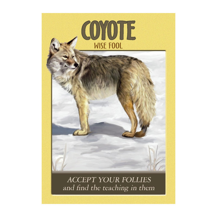 Coyote card from the Power Animal Oracle Cards