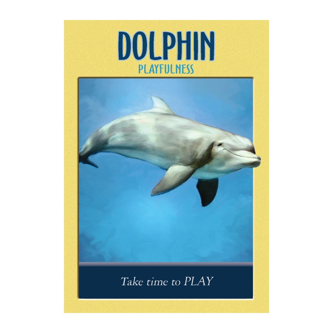 Dolphin card from the Power Animal Oracle Cards