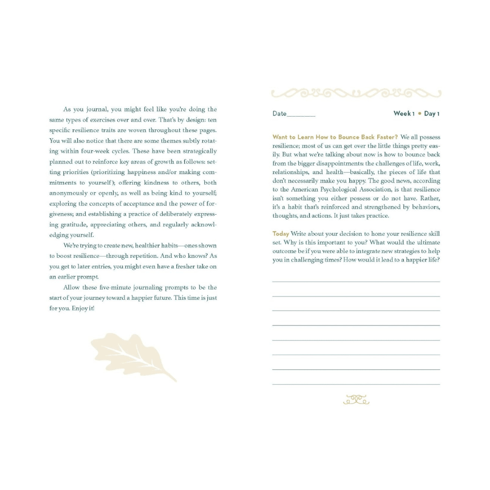 Journal de la résilience
