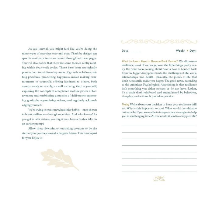 Journal de la résilience