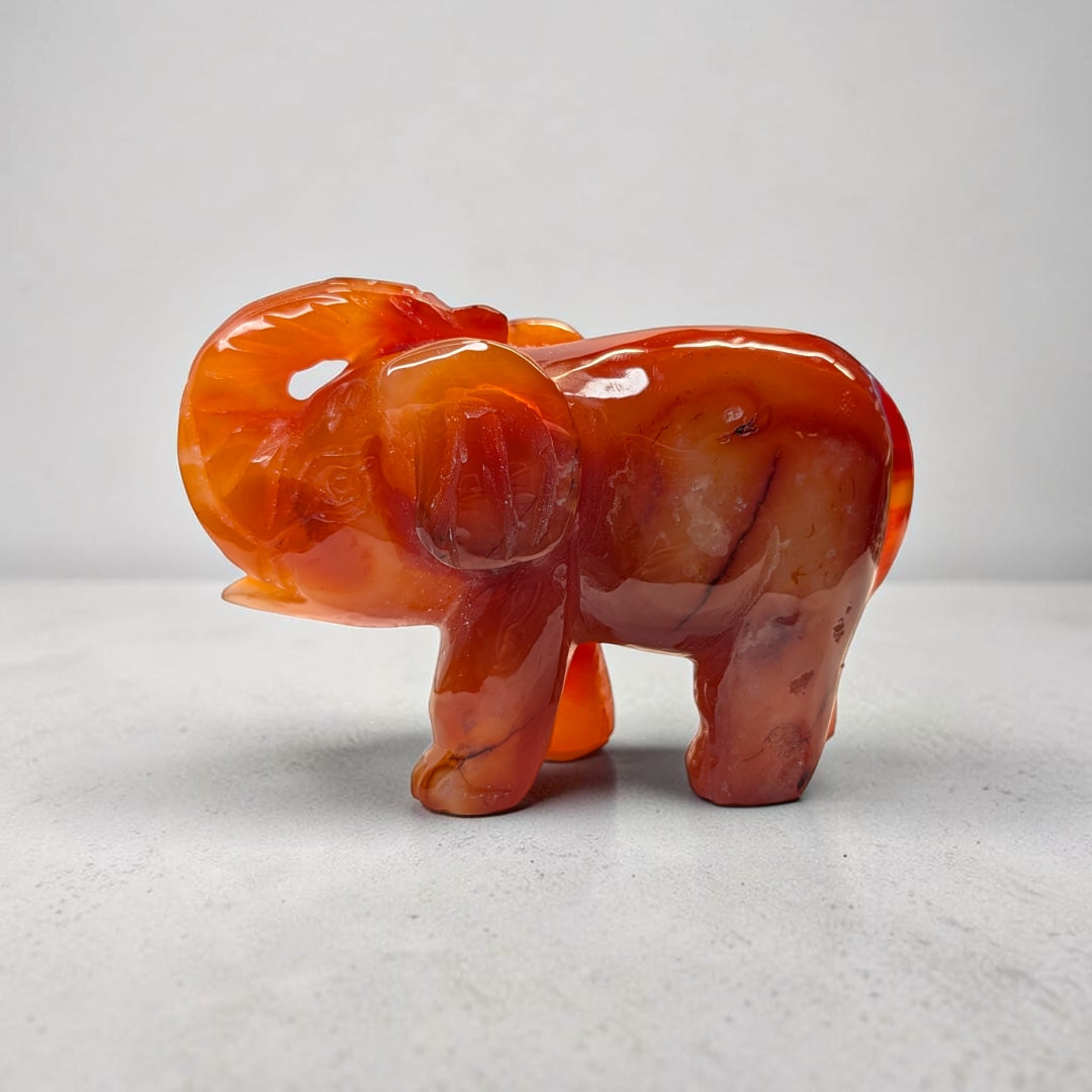 Carnelian crystal elephant carving, 717 grams, 3.5 by 5 by 2 inches, deep orange carnelian