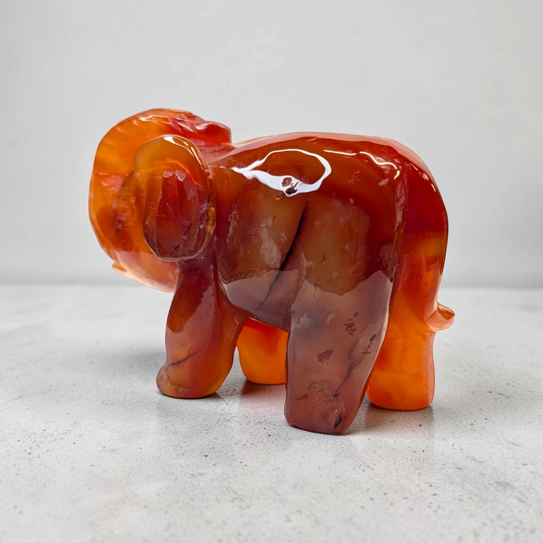 Carnelian crystal elephant carving, 717 grams, 3.5 by 5 by 2 inches, deep orange carnelian