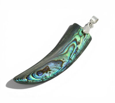 Natural Abalone Shell Tusk Neckalce - Detail view | Crystal Shop Barrie Ontario