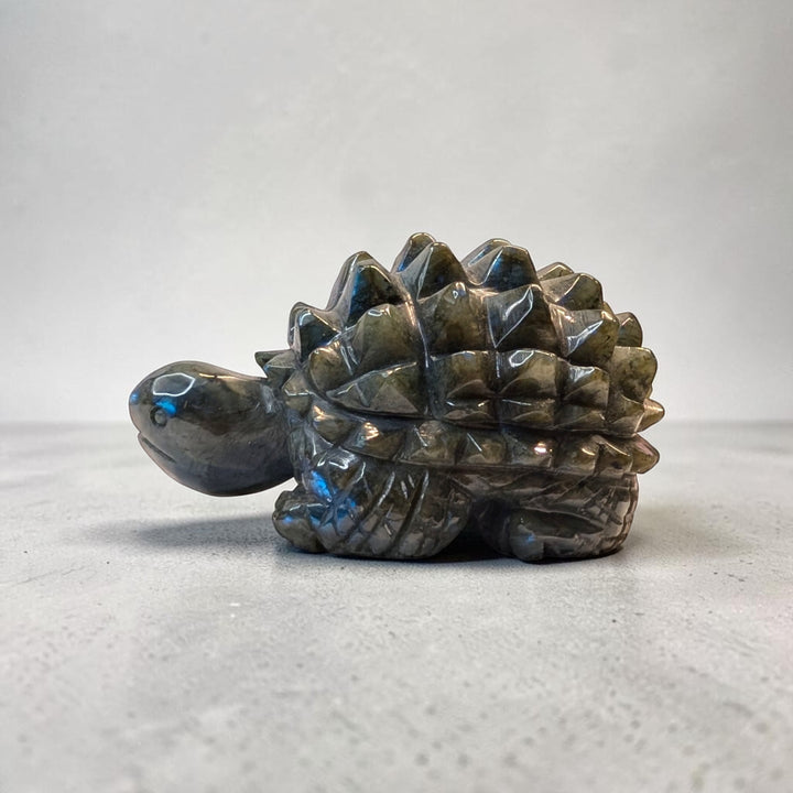 Labradorite Crystal Turtle Carving