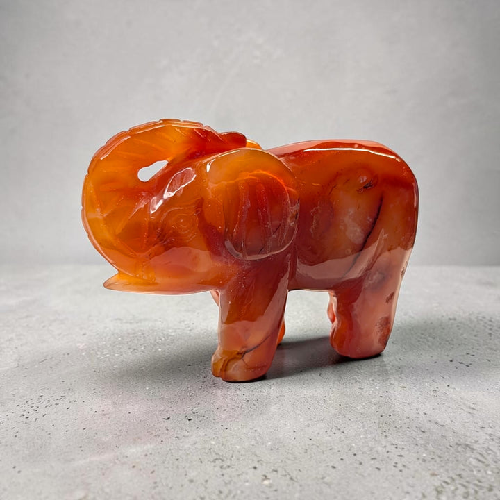 Carnelian crystal elephant carving, 717 grams, 3.5 by 5 by 2 inches, deep orange carnelian