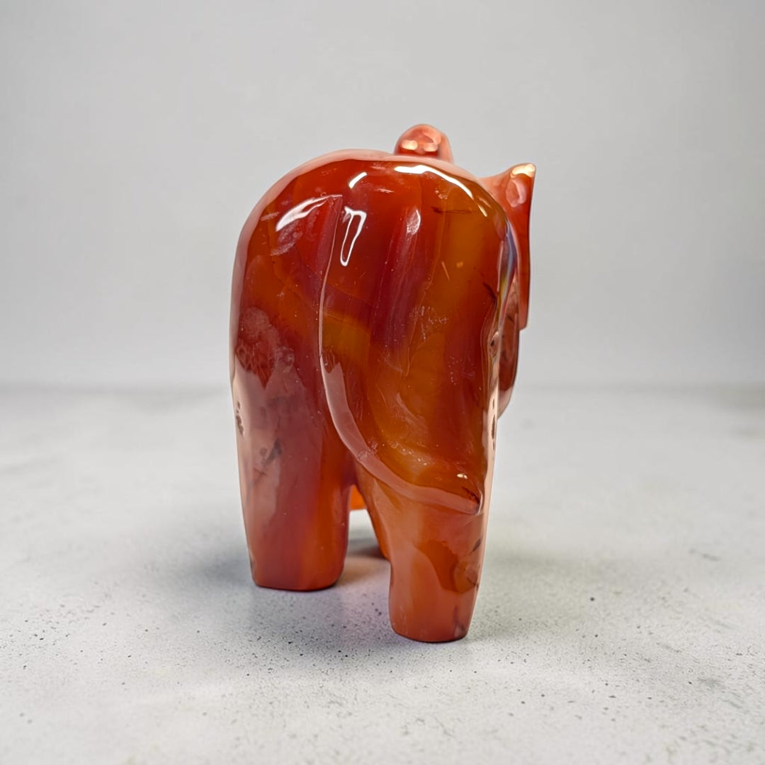 Carnelian crystal elephant carving, 717 grams, 3.5 by 5 by 2 inches, deep orange carnelian