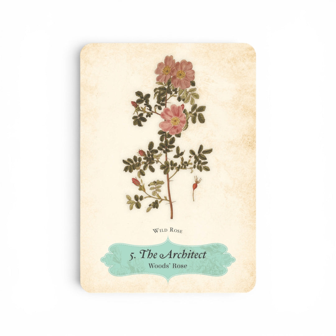 Oracle of the Roses
