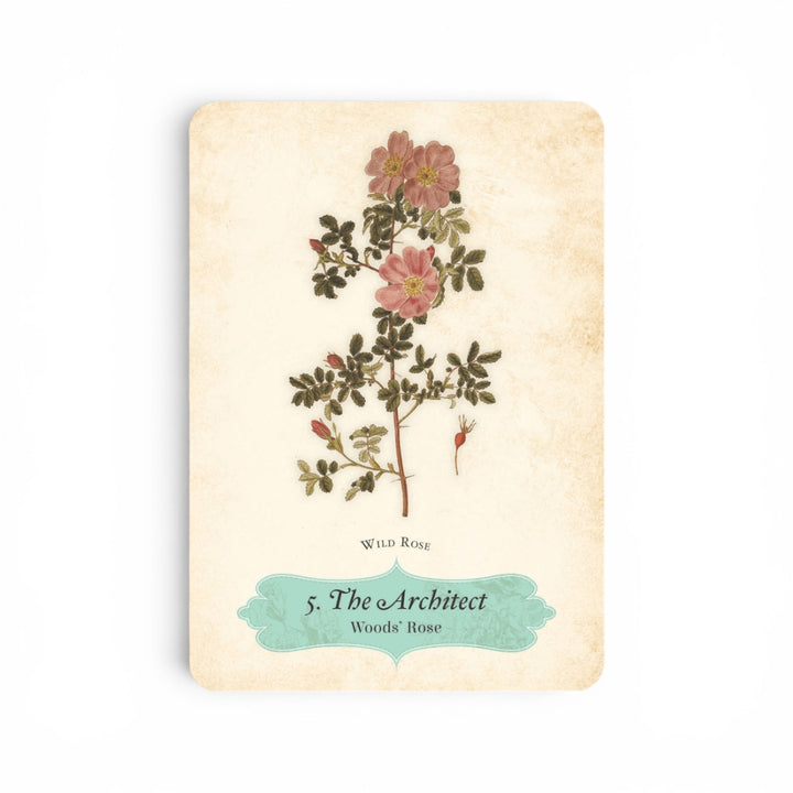 Oracle of the Roses