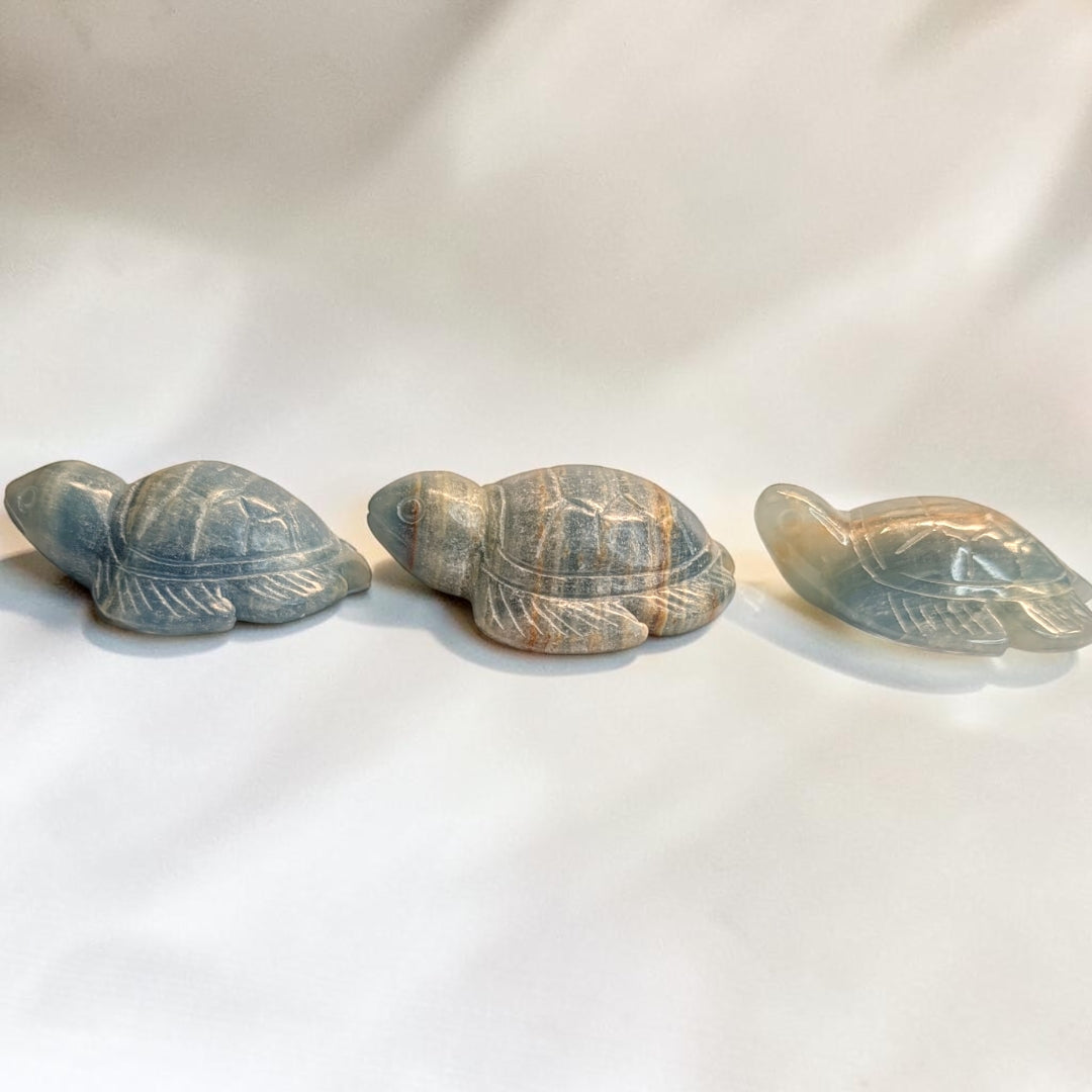 Blue Onyx Crystal Turtles