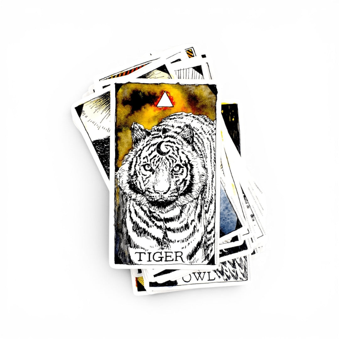 Wild Unknown Animal Spirit