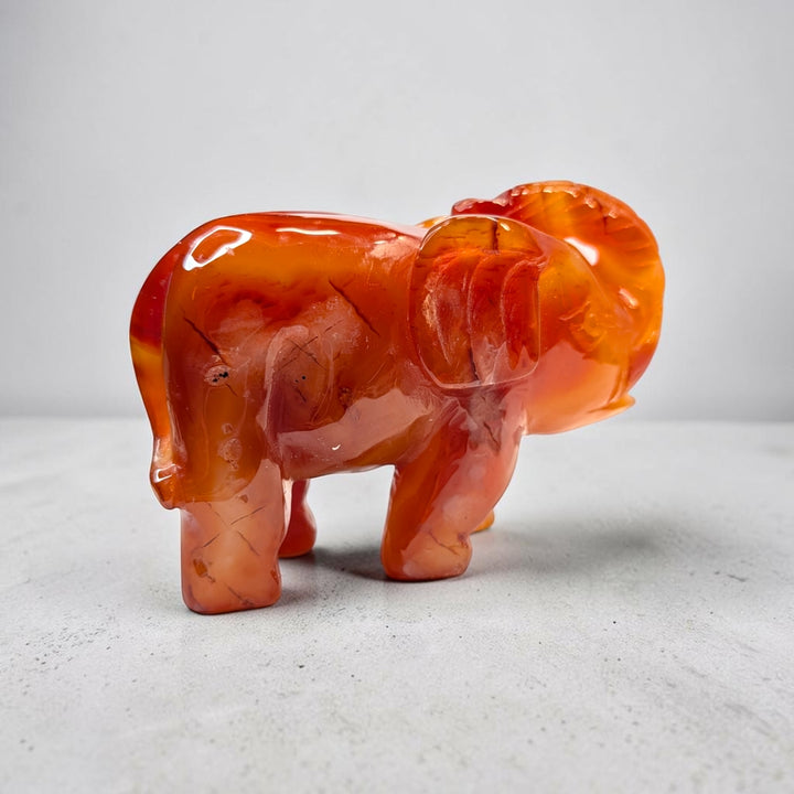 Carnelian crystal elephant carving, 717 grams, 3.5 by 5 by 2 inches, deep orange carnelian