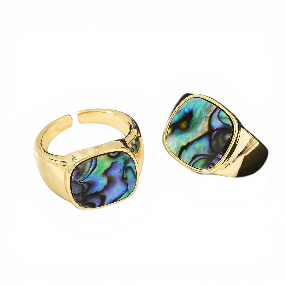 Abalone Shell Ring - Alternate angle | Metaphysical Store Canada