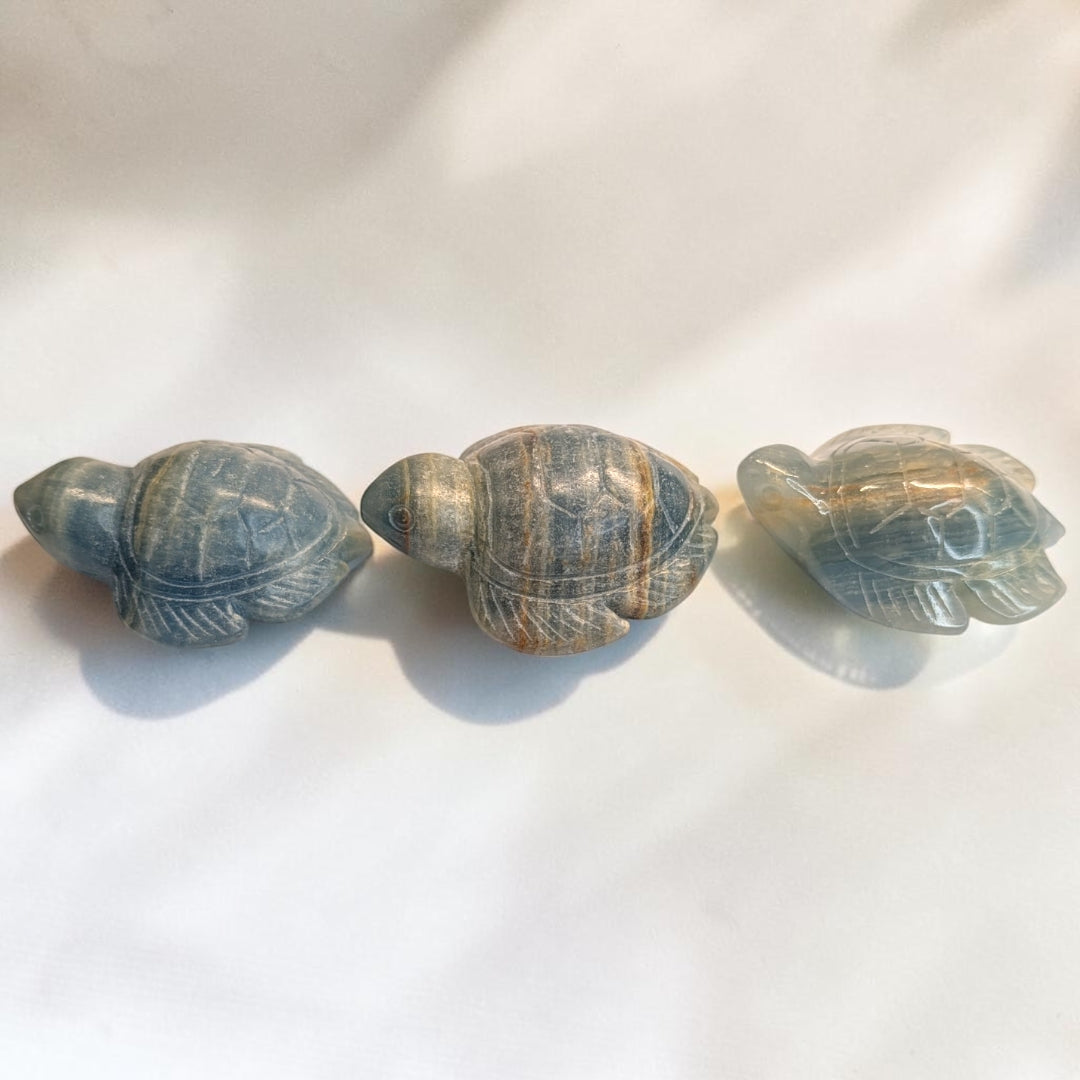 Blue Onyx Crystal Turtles