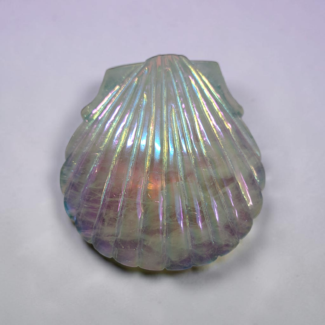 Clear Quartz Aura Sea Shell | Clear Quartz | Clearing Mental Fog and Amplifying Energy | Zen Collection Canada