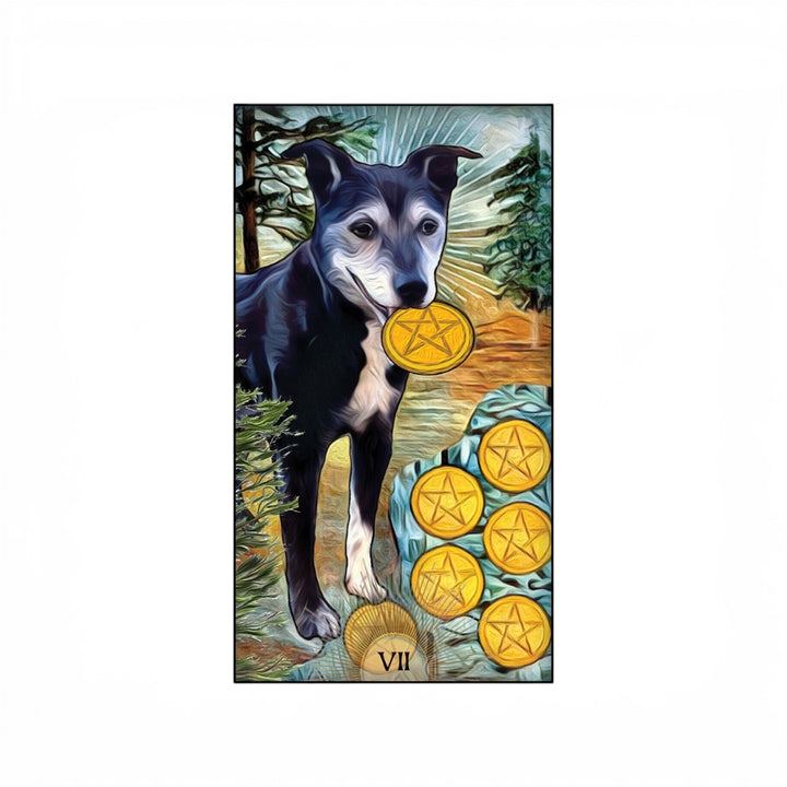 Tarot du Chien Sage