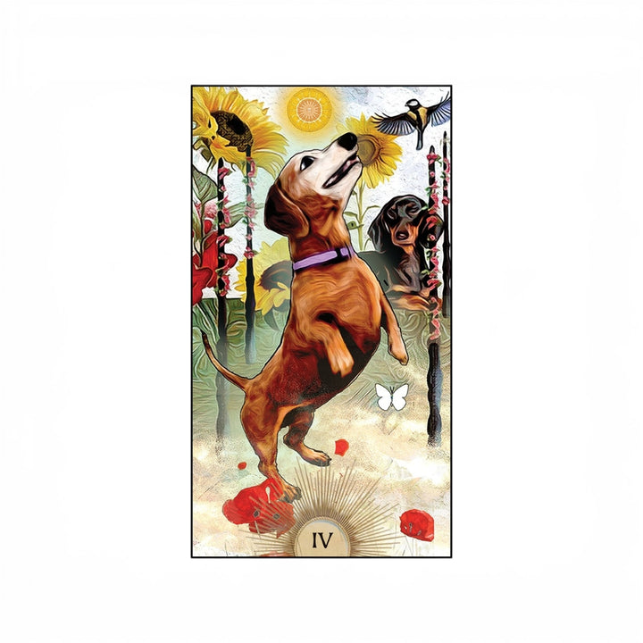 Tarot du Chien Sage
