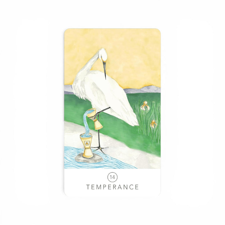 Black Seed Tarot