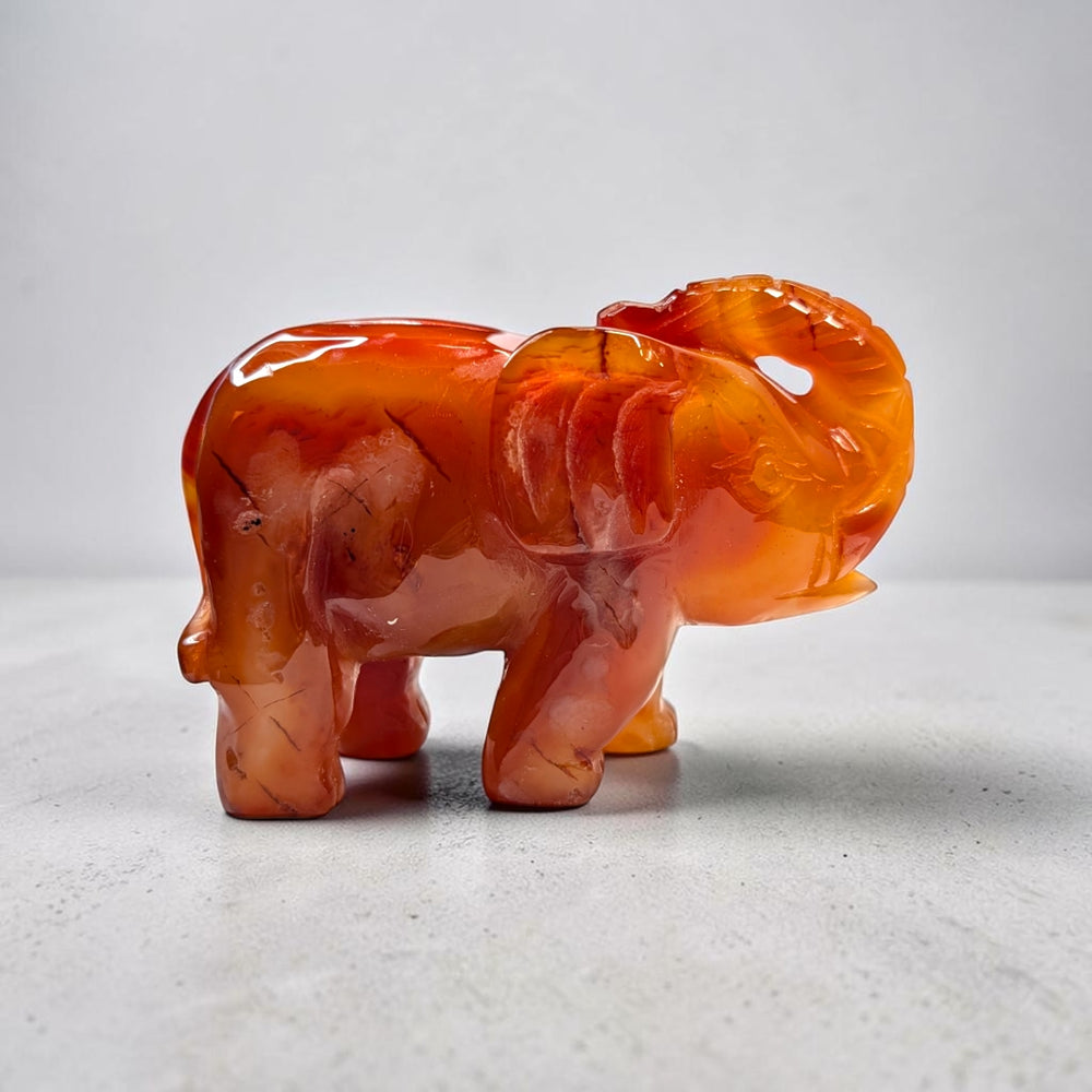 Carnelian crystal elephant carving, 717 grams, 3.5 by 5 by 2 inches, deep orange carnelian