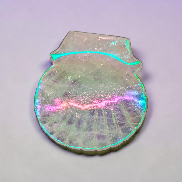 Clear Quartz Aura Sea Shell | Clear Quartz | Clearing Mental Fog and Amplifying Energy | Zen Collection Canada