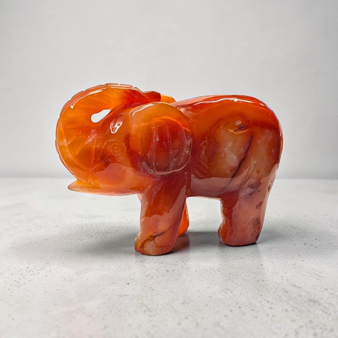 Carnelian crystal elephant carving, 717 grams, 3.5 by 5 by 2 inches, deep orange carnelian