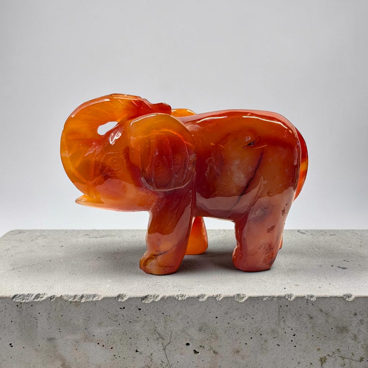 Carnelian crystal elephant carving, 717 grams, 3.5 by 5 by 2 inches, deep orange carnelian