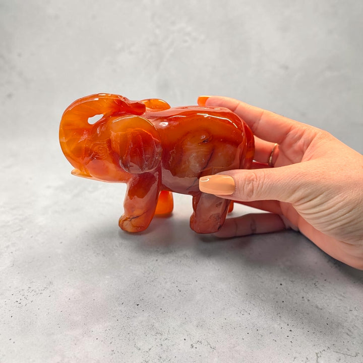 Carnelian crystal elephant carving, 717 grams, 3.5 by 5 by 2 inches, deep orange carnelian