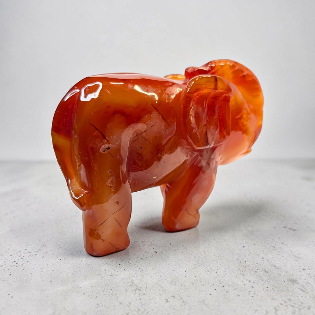 Carnelian crystal elephant carving, 717 grams, 3.5 by 5 by 2 inches, deep orange carnelian