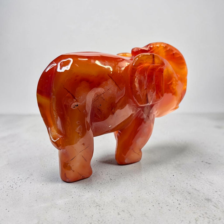 Carnelian crystal elephant carving, 717 grams, 3.5 by 5 by 2 inches, deep orange carnelian