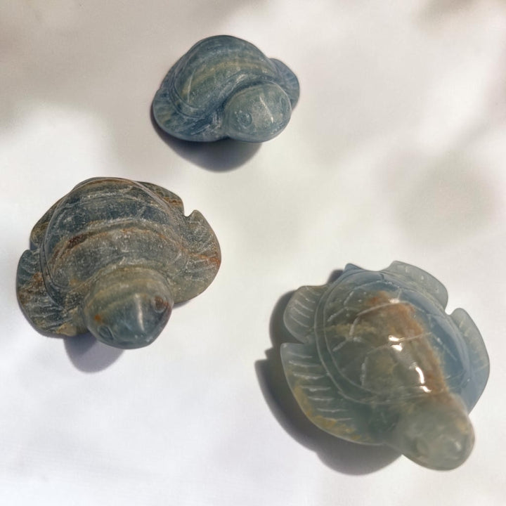 Blue Onyx Crystal Turtles