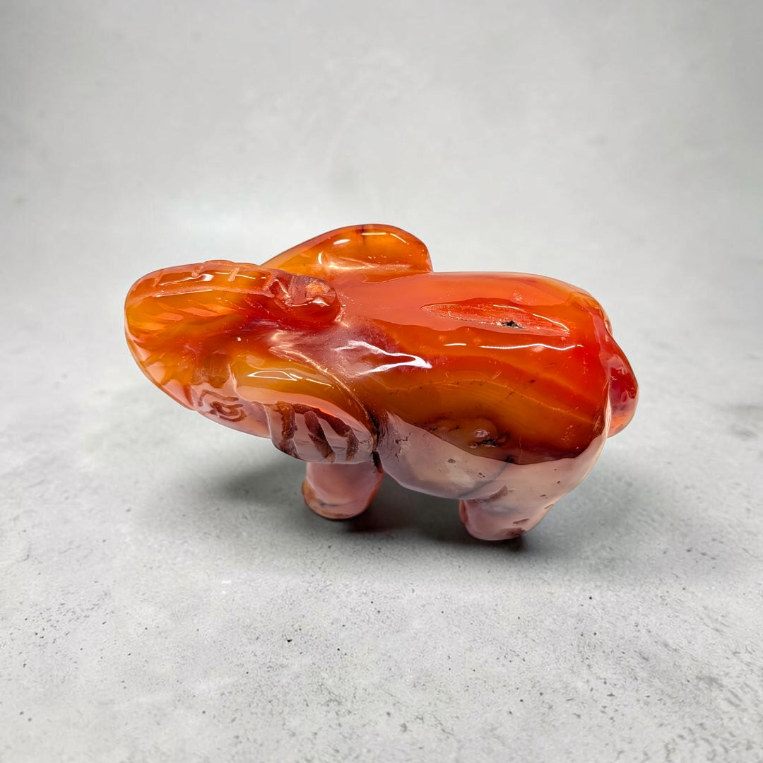 Carnelian crystal elephant carving, 717 grams, 3.5 by 5 by 2 inches, deep orange carnelian