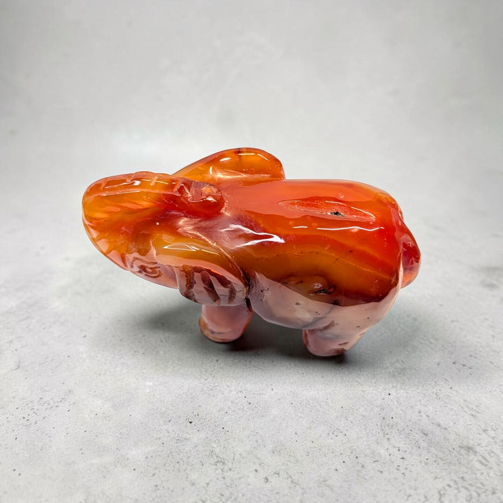 Carnelian crystal elephant carving, 717 grams, 3.5 by 5 by 2 inches, deep orange carnelian