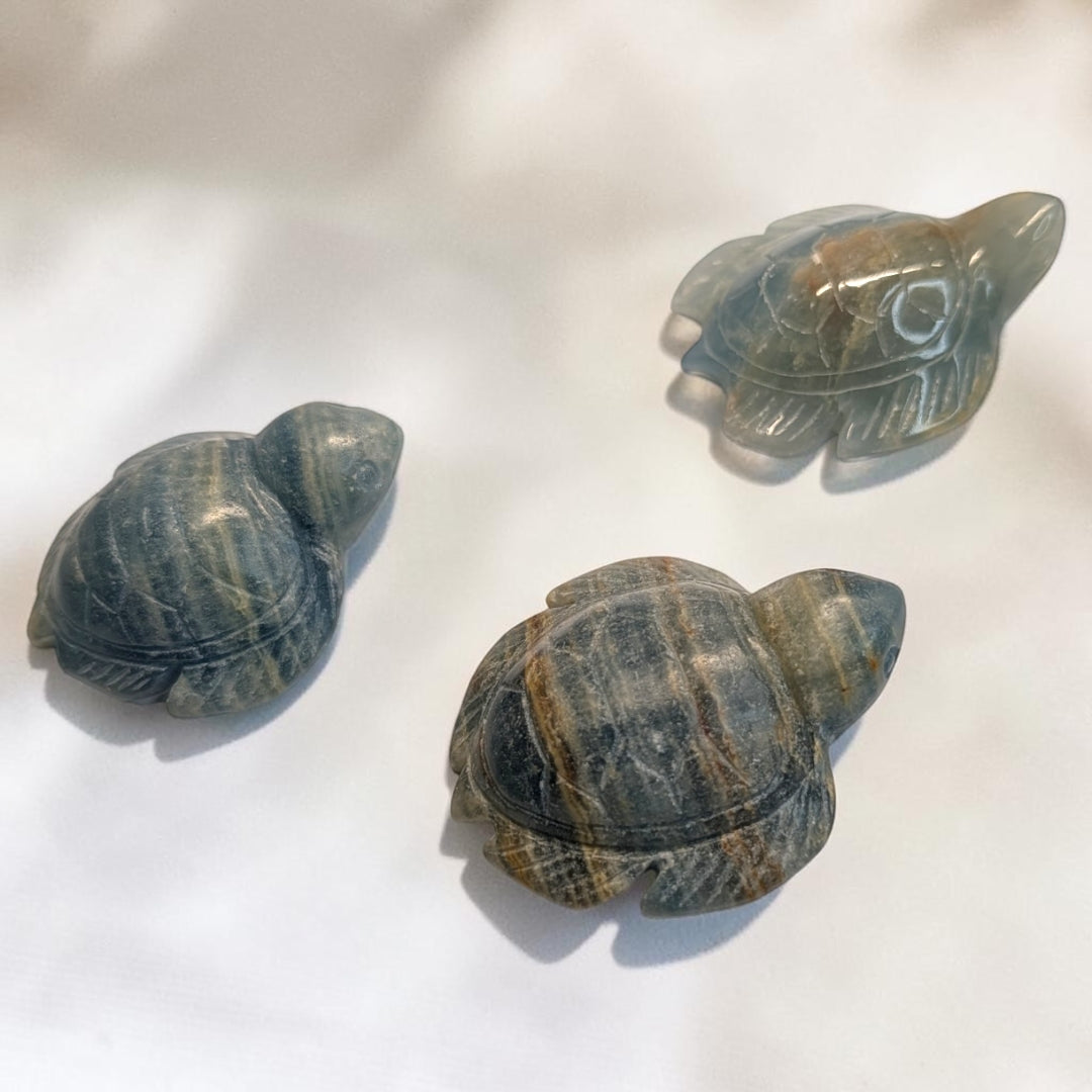 Blue Onyx Crystal Turtles