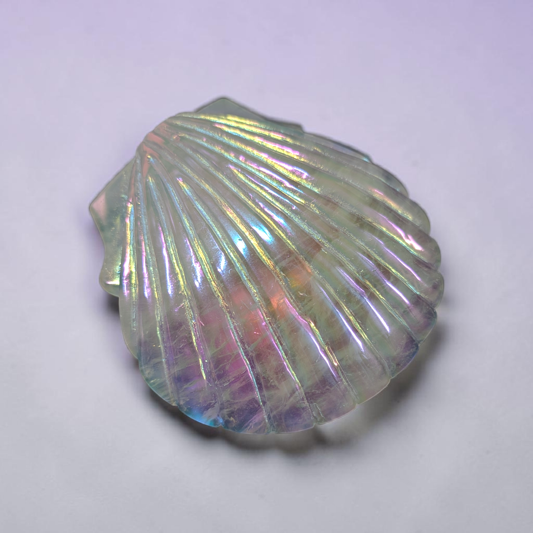 Clear Quartz Aura Sea Shell | Clear Quartz | Clearing Mental Fog and Amplifying Energy | Zen Collection Canada