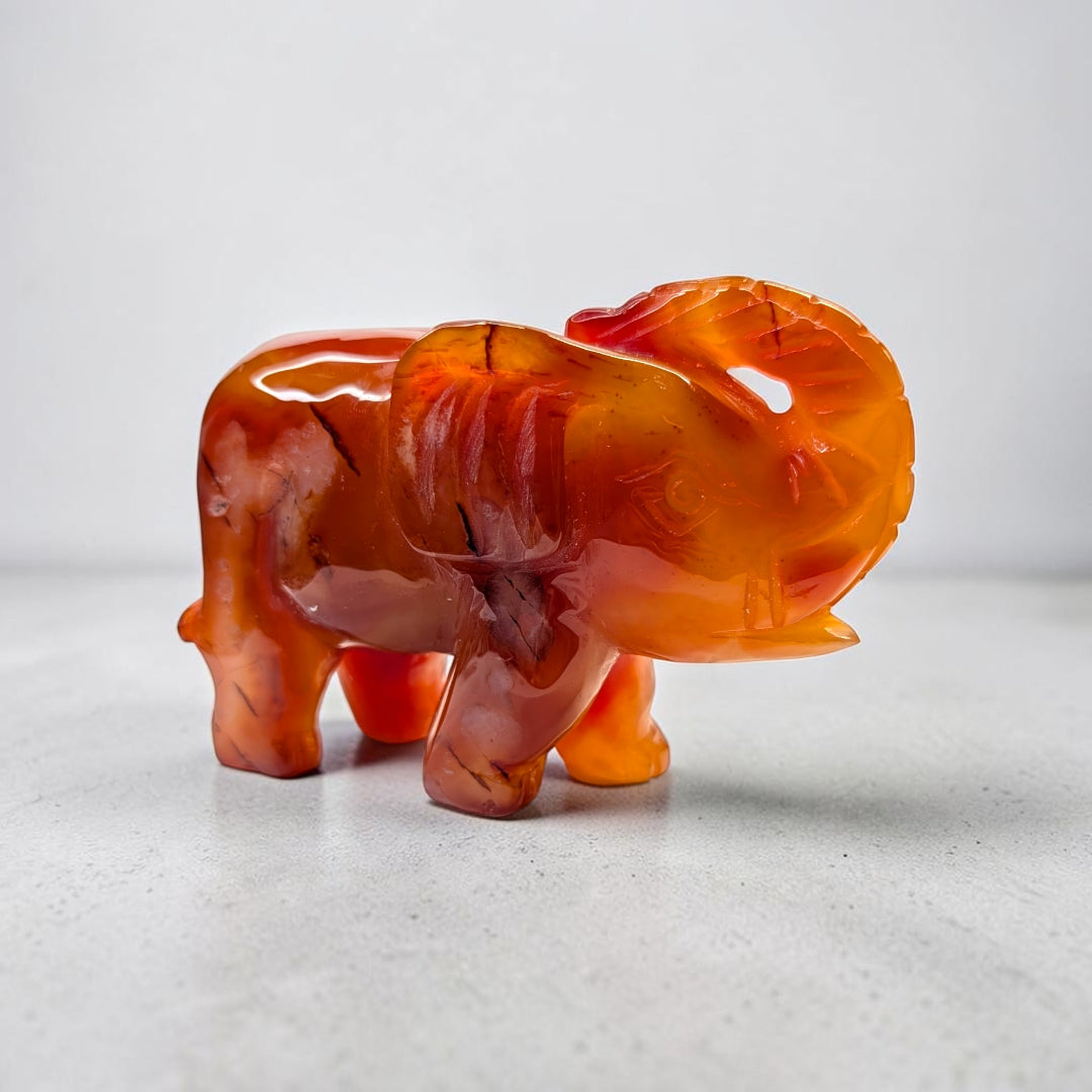 Carnelian crystal elephant carving, 717 grams, 3.5 by 5 by 2 inches, deep orange carnelian