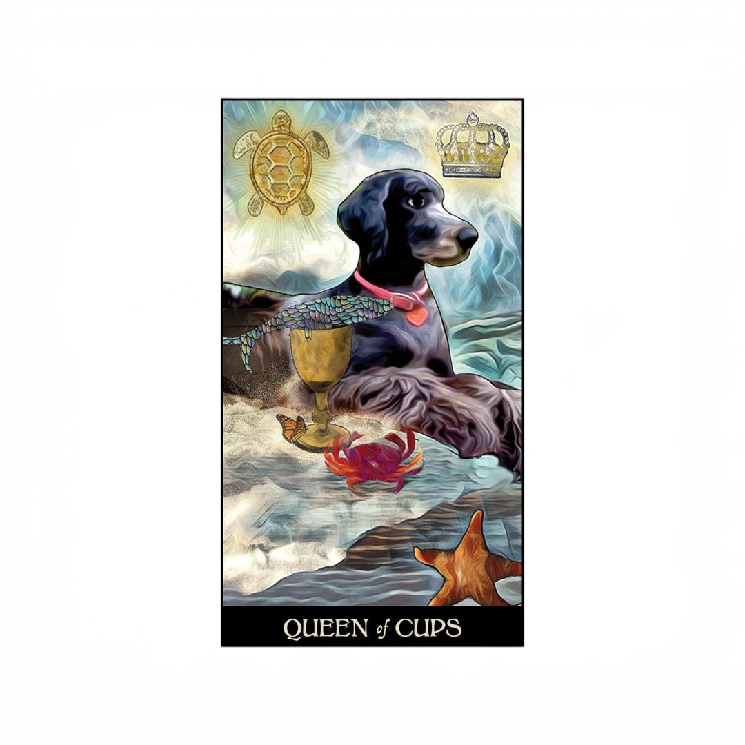 Tarot du Chien Sage