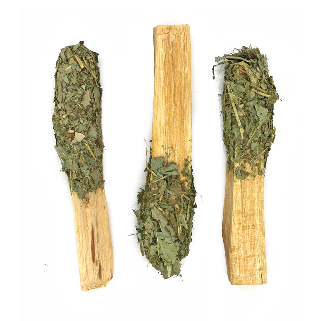 Palo Santo Dipped with Eucalyptus Sage - Zen Collection