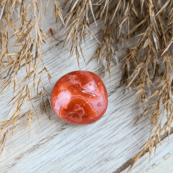 Ensemble de cristaux pour le chakra sacré 