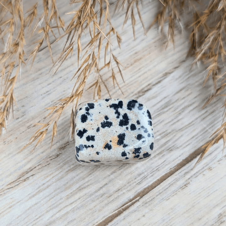Ensemble de cristaux pour le chakra sacré 
