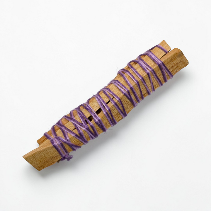 Hand holding a burning Palo Santo stick with smoke rising