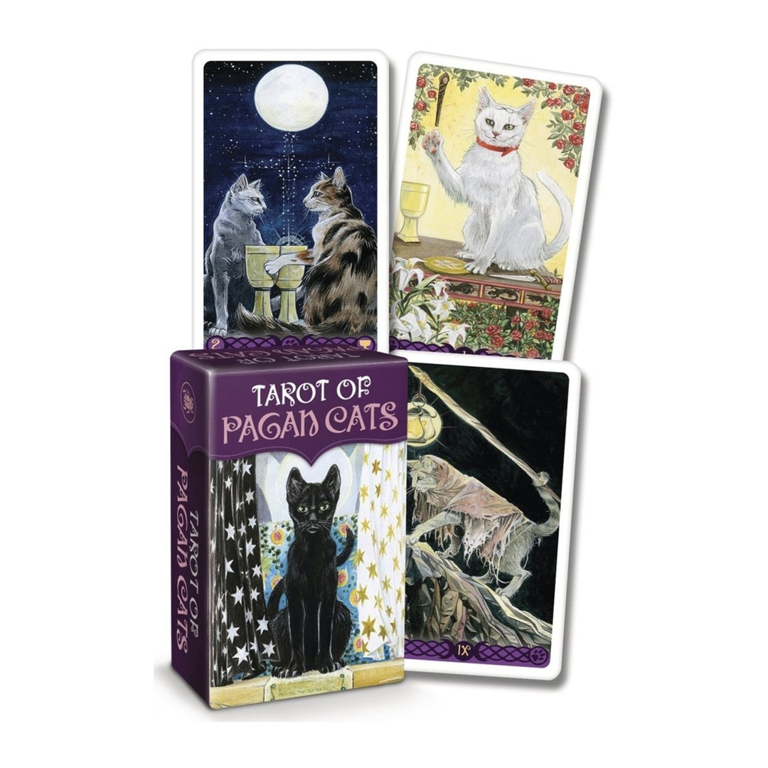 Tarot of Pagan Cats Mini Deck box with three cards