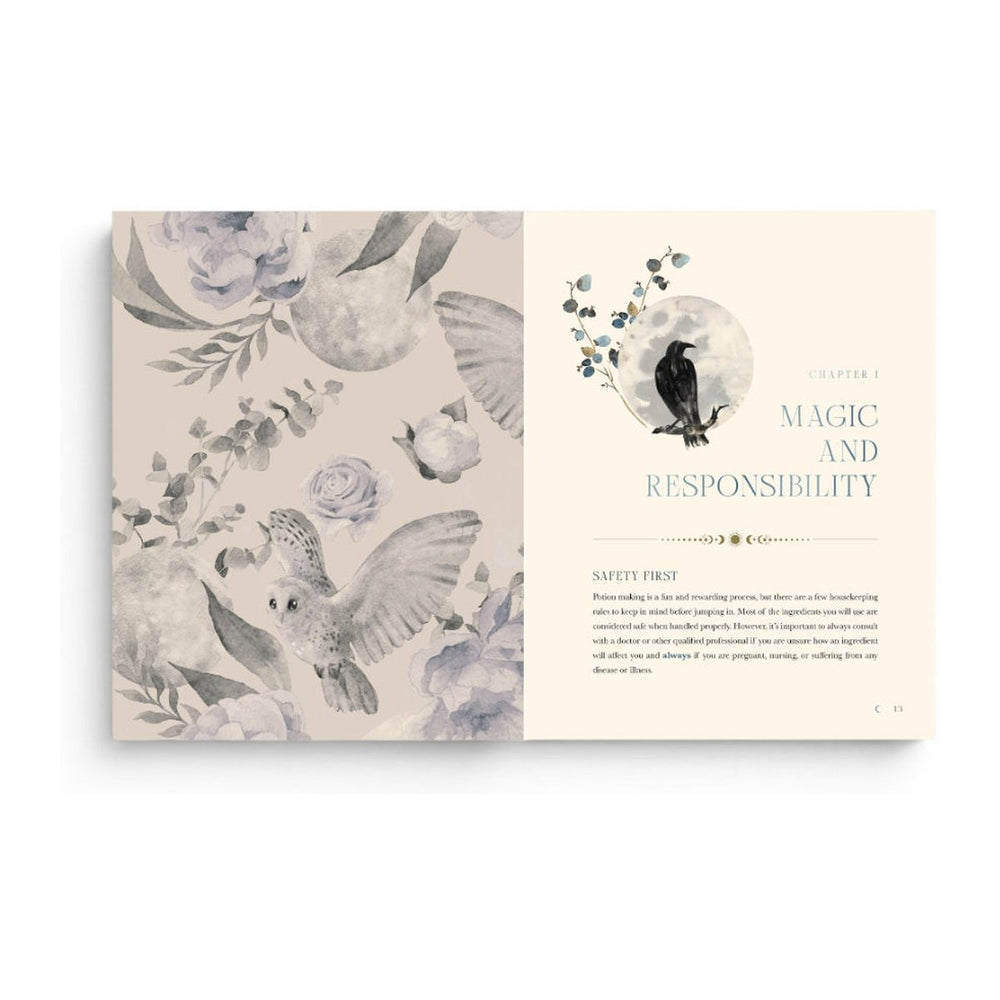 The Moon Apothecary pages opening the Magic and Responsibility chapter