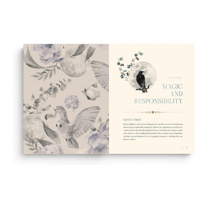 The Moon Apothecary pages opening the Magic and Responsibility chapter