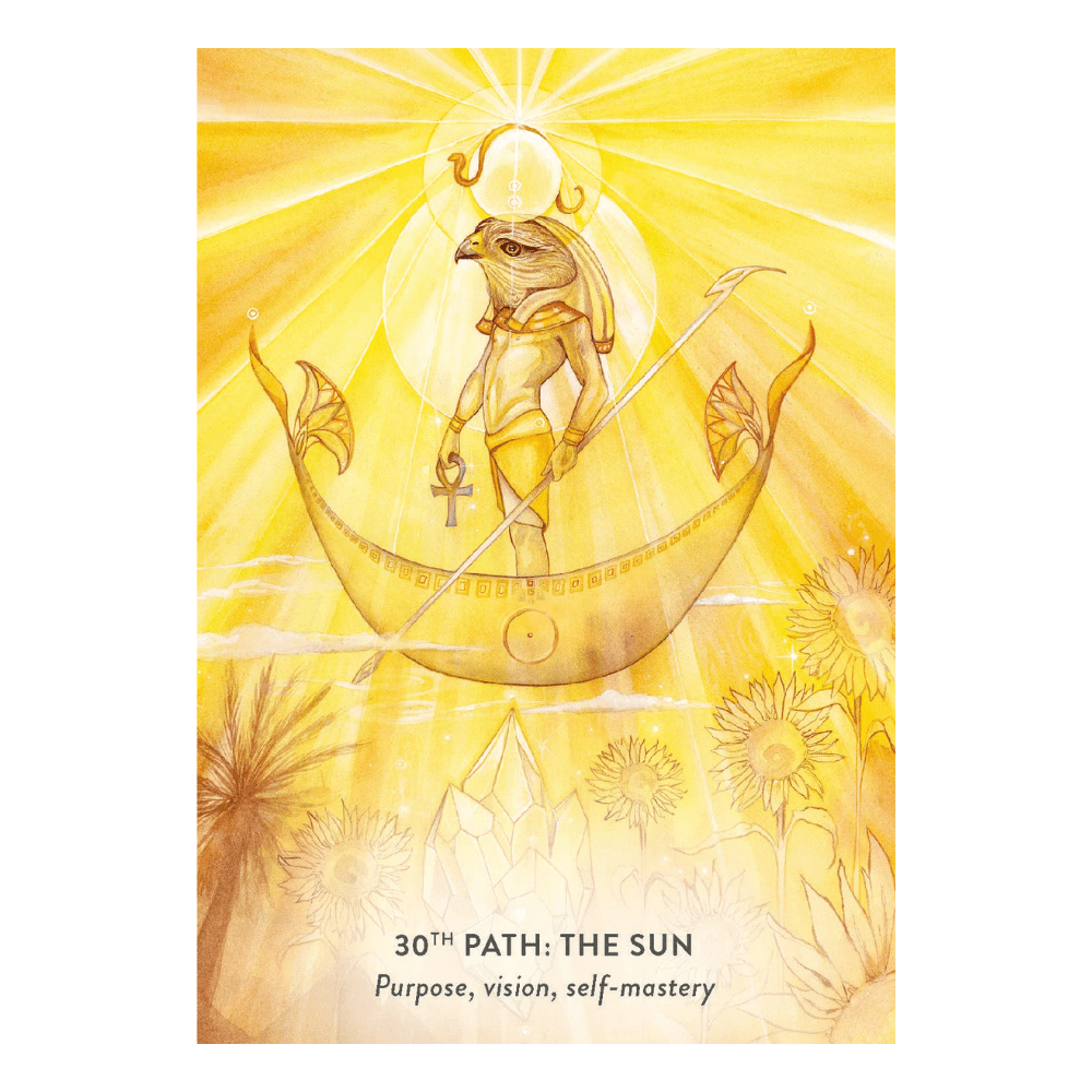 tree of life oracle deck david wells
