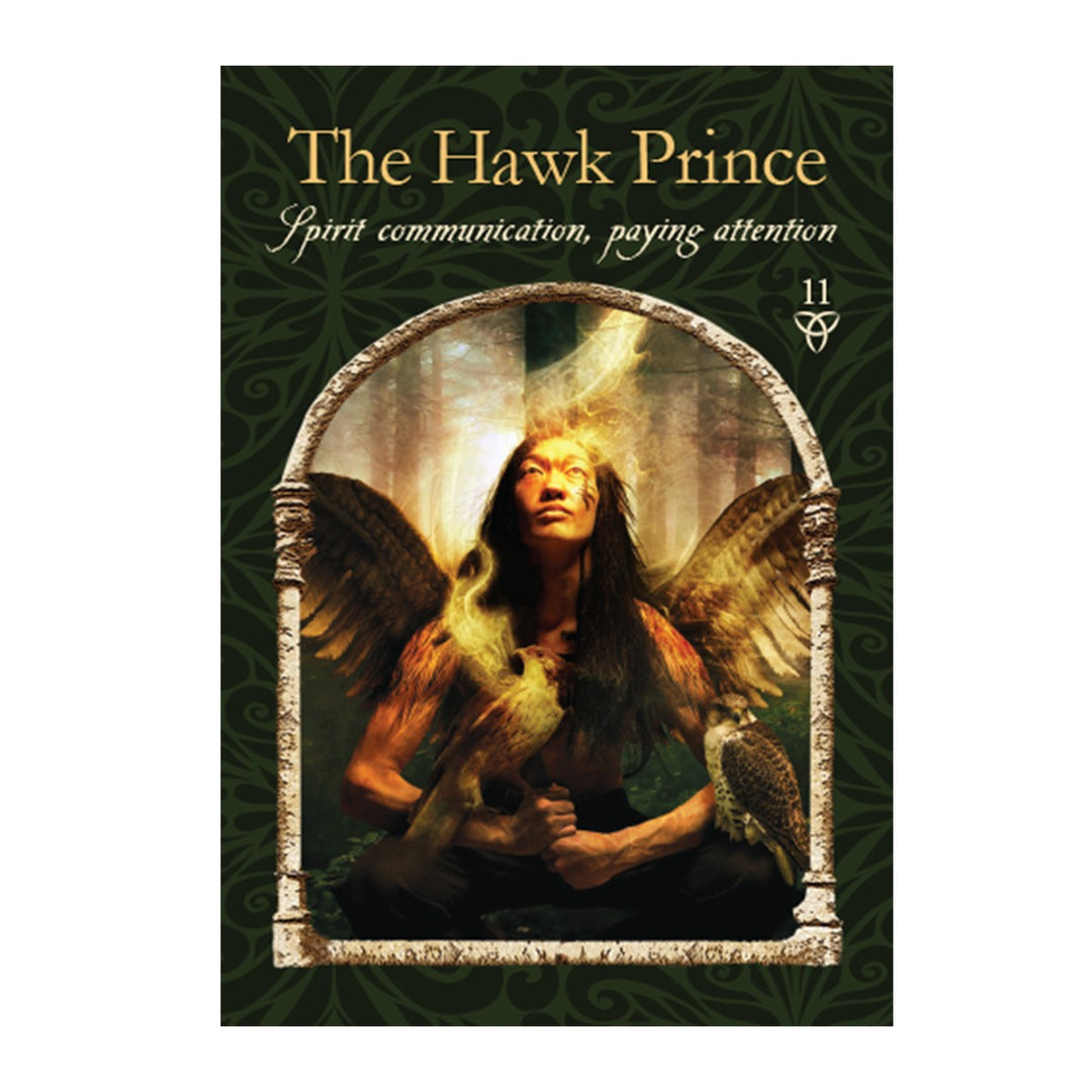 The Hawk Prince card from the Wisdom of the Hidden Realms Oracle Cards
