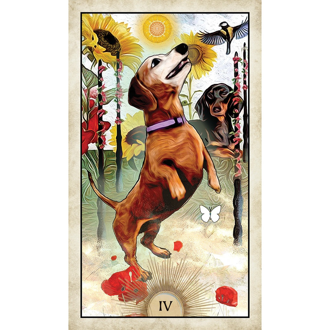 Wise Dog Tarot - metaphysical store canada