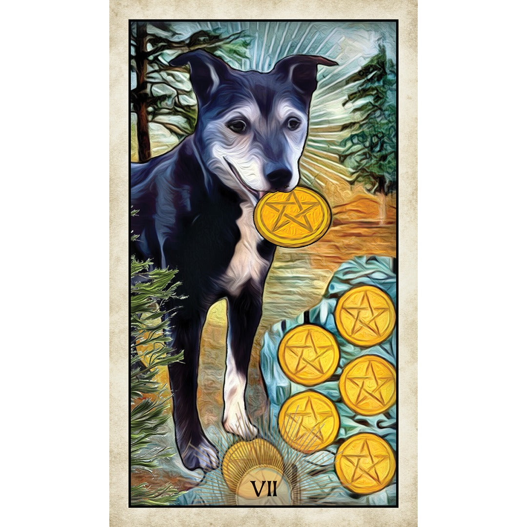 Wise Dog Tarot - metaphysical store canada