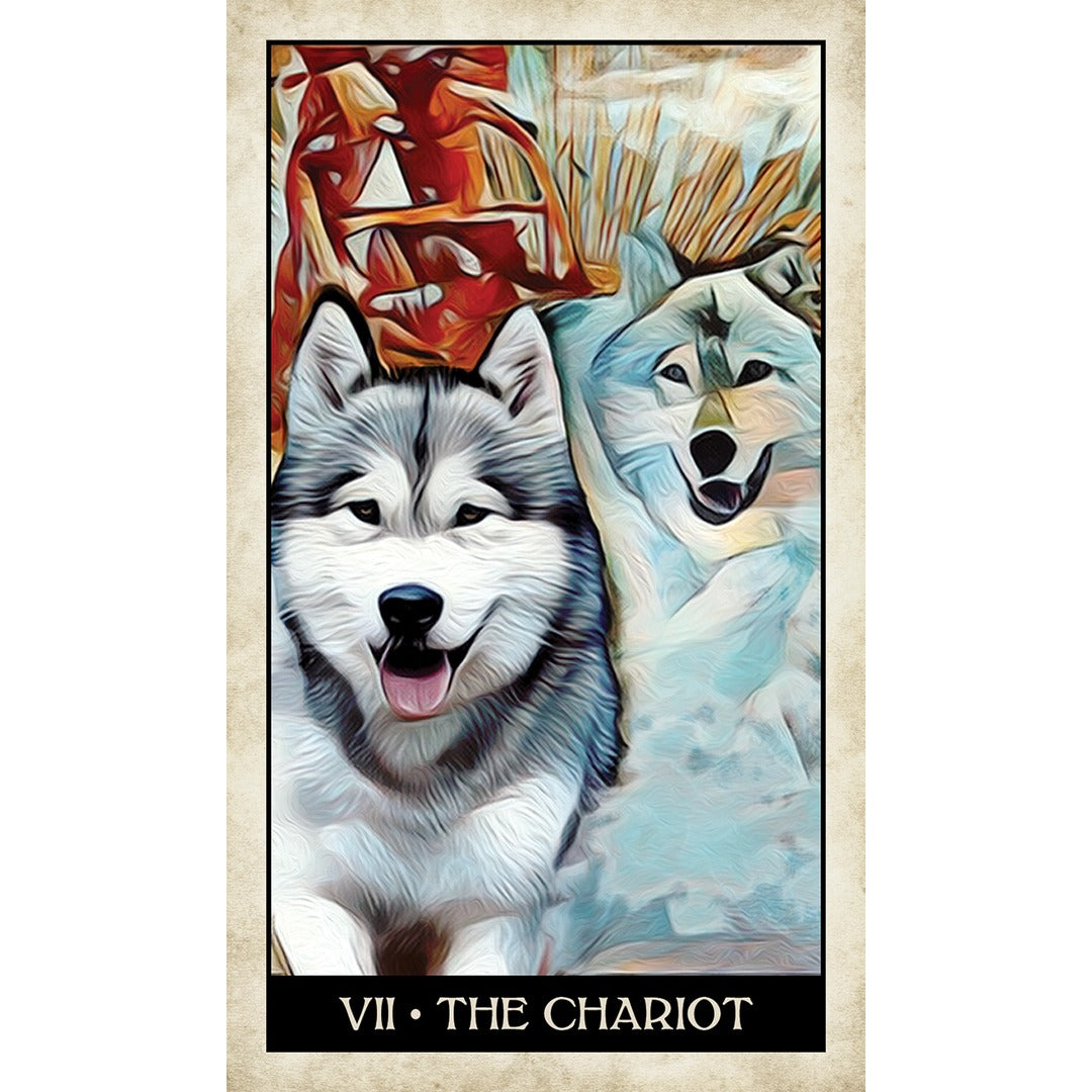 Wise Dog Tarot - metaphysical store canada