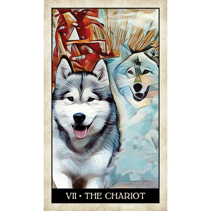 Wise Dog Tarot - metaphysical store canada