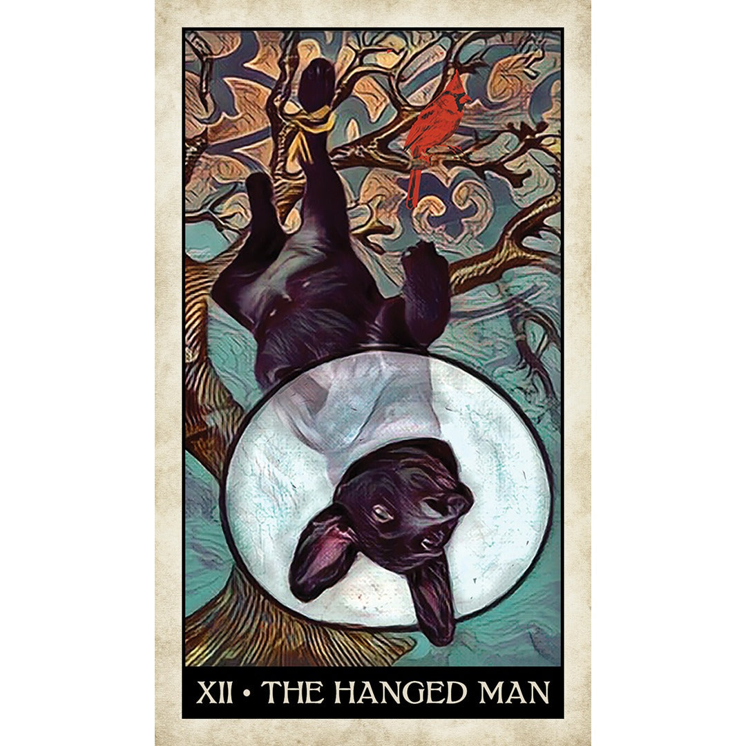Wise Dog Tarot - metaphysical store canada