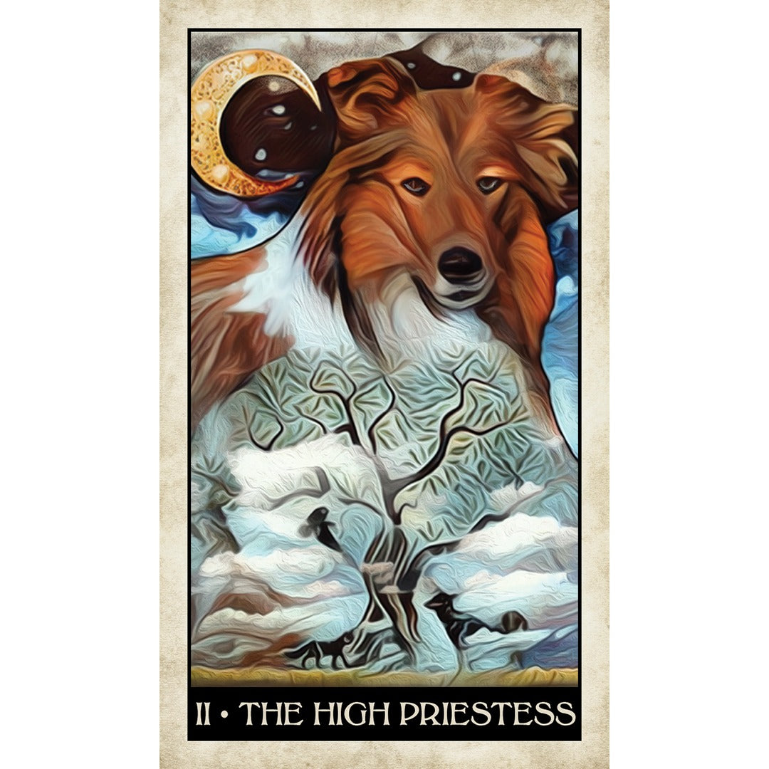 Wise Dog Tarot - metaphysical store canada
